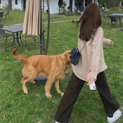 狄仁杰之通天教主